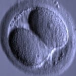 Dansk Fertilitetsklinik