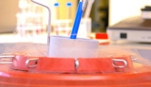 Read more about the article Sæddonor – motivation og holdninger til singles, lesbiske og donorbørn